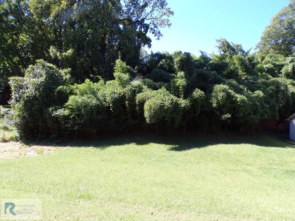 0 Swain Dr - Photo 1