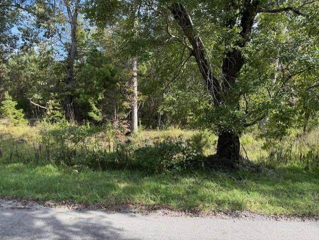 lot 7&8 Cherrystone Lake Rd - Photo 1
