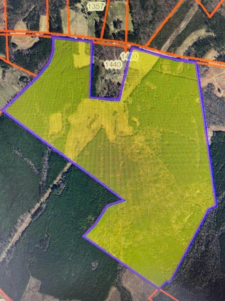 389.25 Hickeys Rd - Photo 1