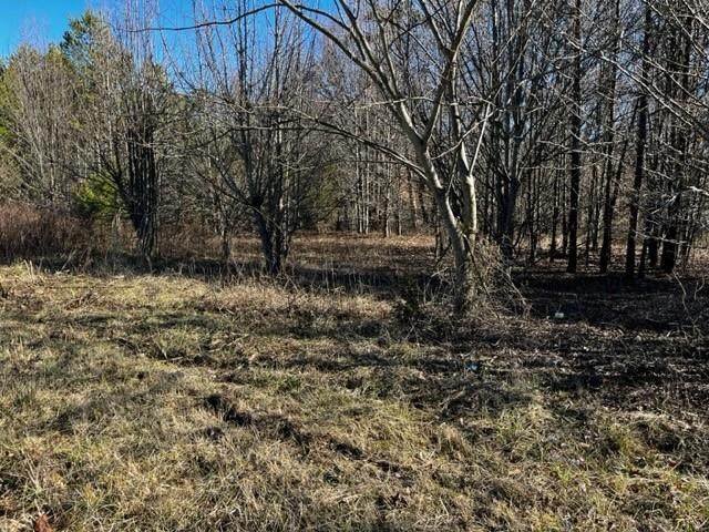 00 Ringgold Church Rd - Photo 1