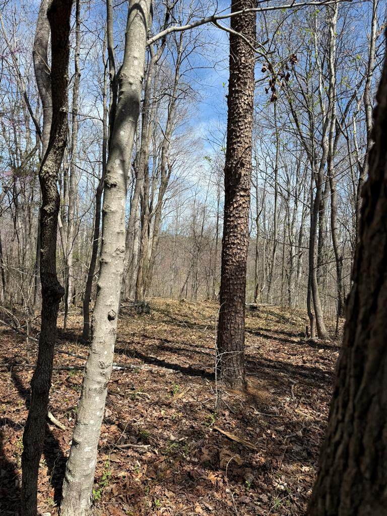 Lot 6-10 Pleasant Dr - Photo 1