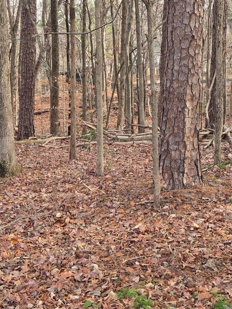 1.79 AC College Park Dr - Photo 1