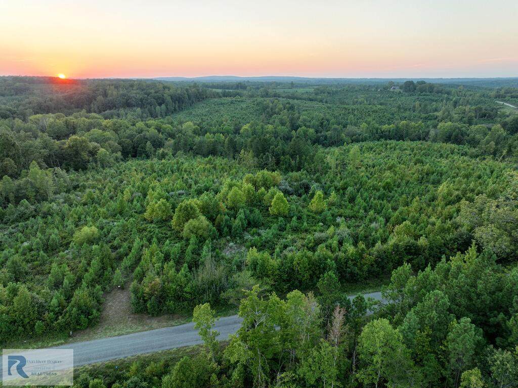 0001 Mount Tabor Rd - Photo 1