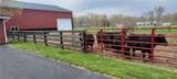 2138 Us Route 42 - Photo 26