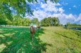8457 Strout Road - Photo 72