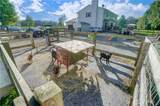 8457 Strout Road - Photo 84