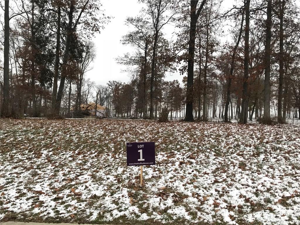 7322 Bluff Boulevard - Photo 1