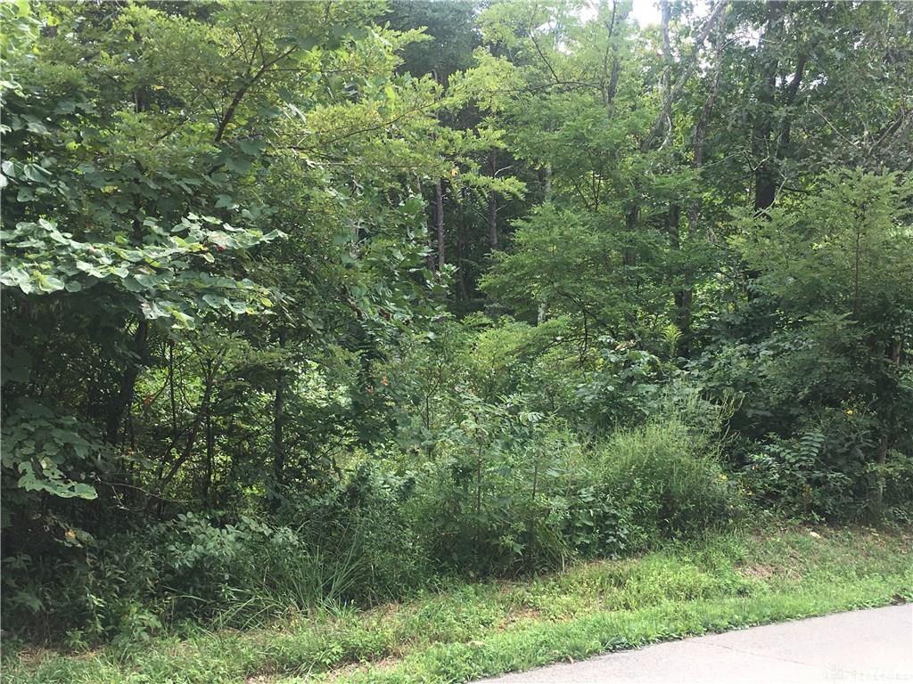 0 Jacobs Cemetery Rd - Photo 1