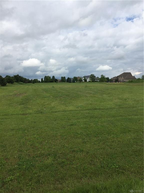36 Buckeye Field Court - Photo 1