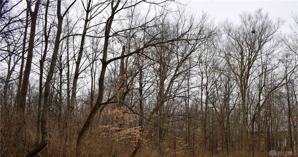 0 Wildwood Lane - Photo 1
