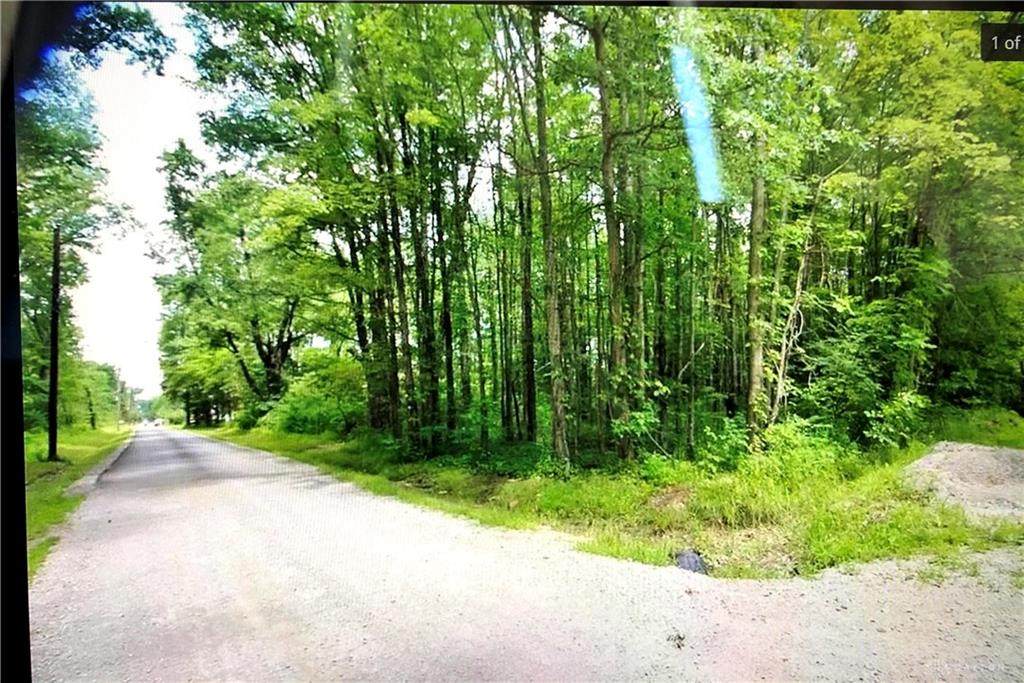 3190 Pennington Lane - Photo 1