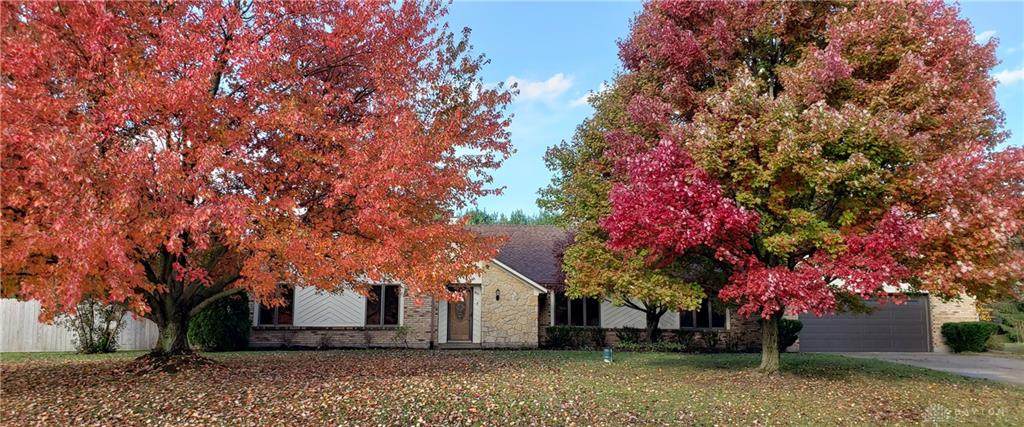 4861 Appaloosa Trail - Photo 1