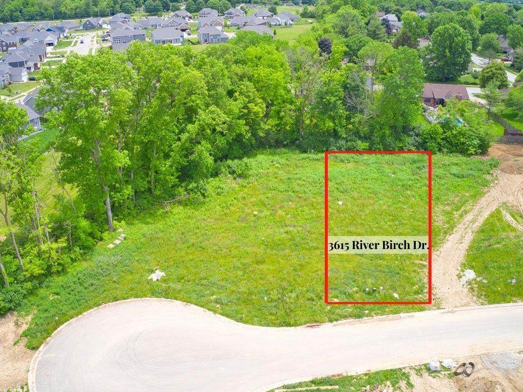 3615 River Birch Drive - Photo 1