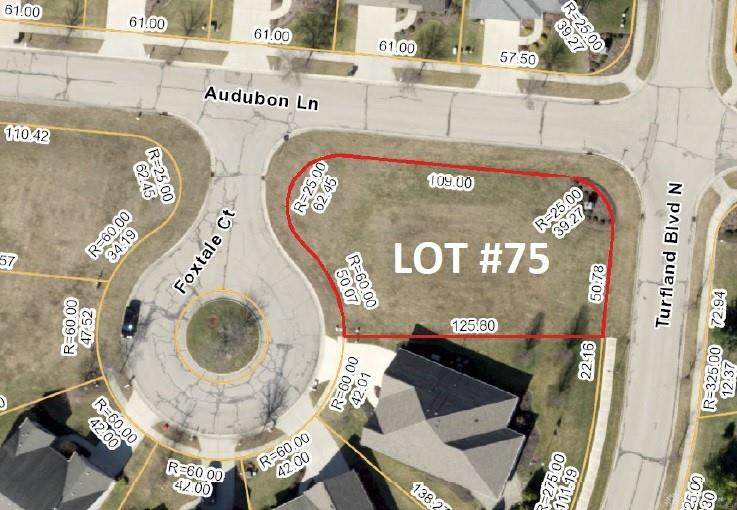 Lot 75 Audubon Lane - Photo 1