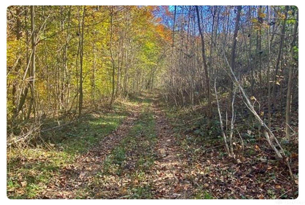 18221 Wagner Road - Photo 1