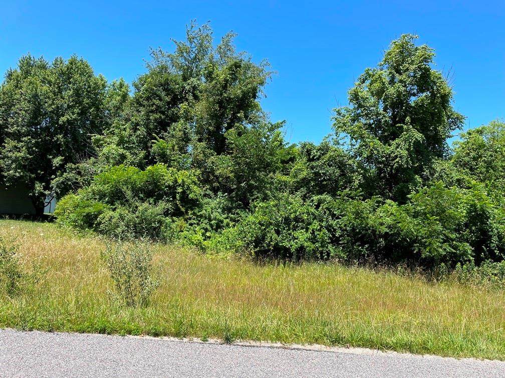 0 Willow Heights Drive - Photo 1