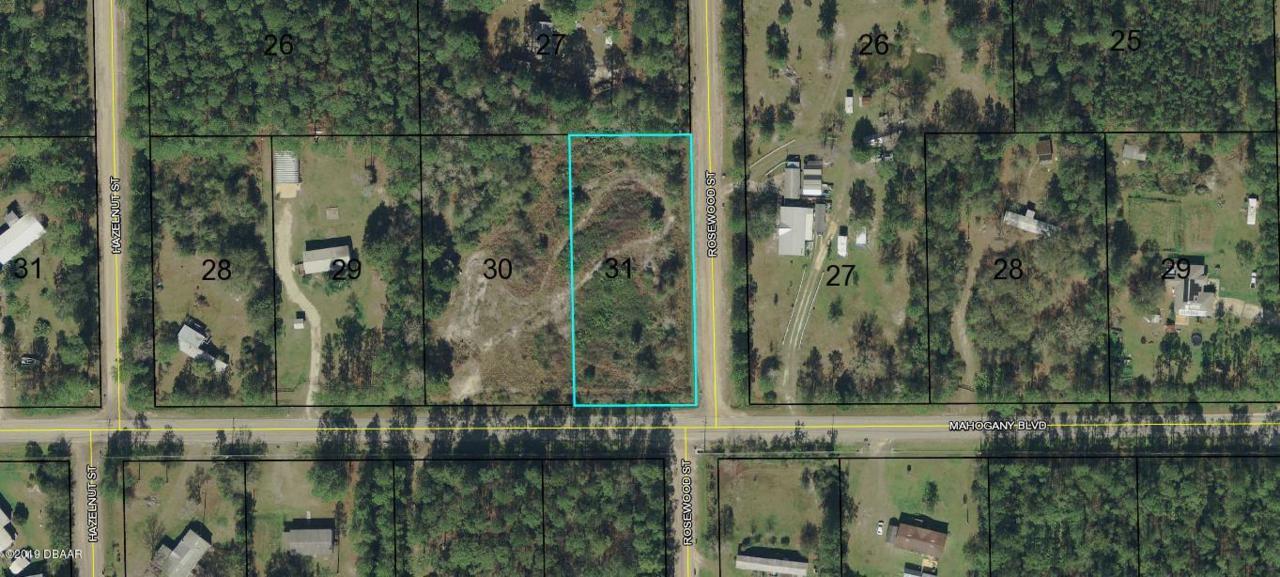 4604 Mahogany Boulevard - Photo 1
