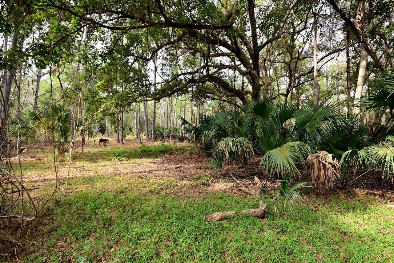 4696 Saddle Creek Run - Photo 1