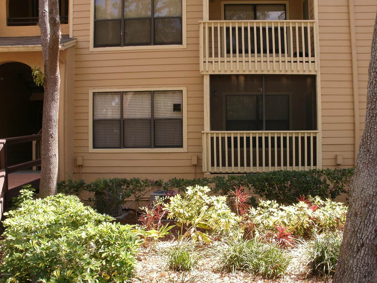 1401 Palmetto Avenue - Photo 1