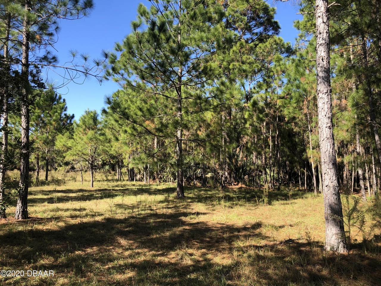 1700 Sunset Trail - Photo 1