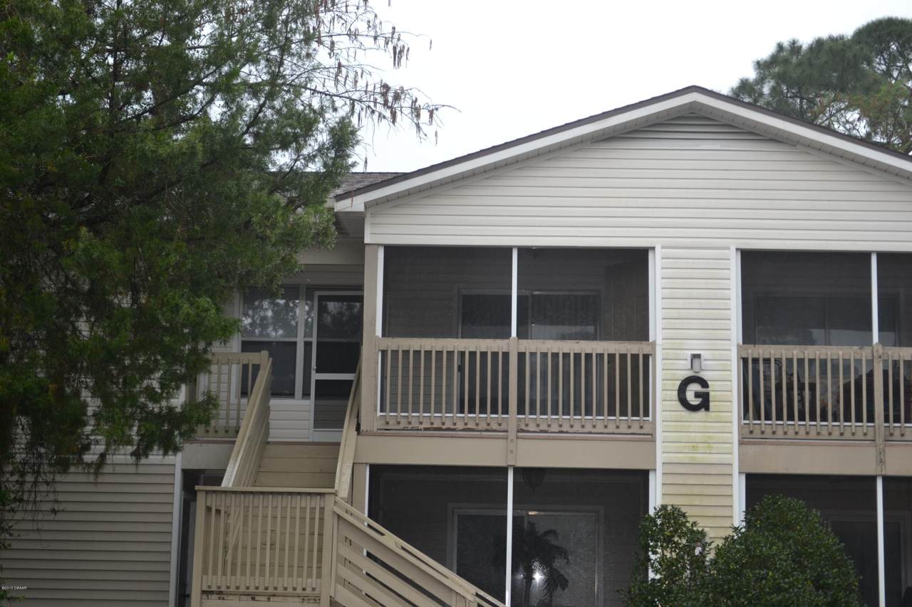 1600 Big Tree Road - Photo 1