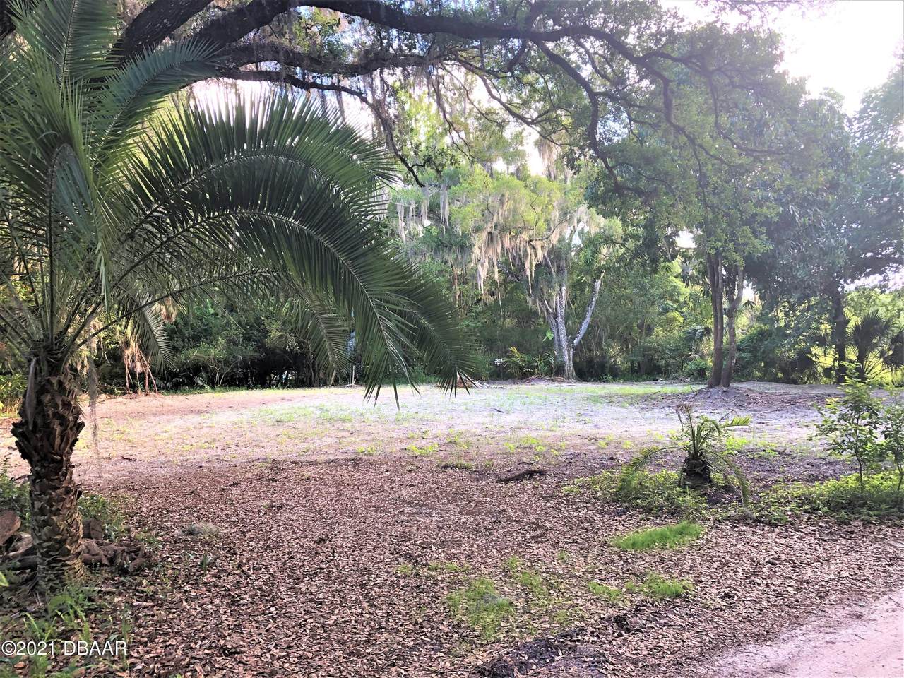 124 Linda Road - Photo 1