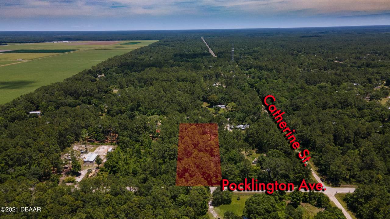 9640 Pocklington Avenue - Photo 1