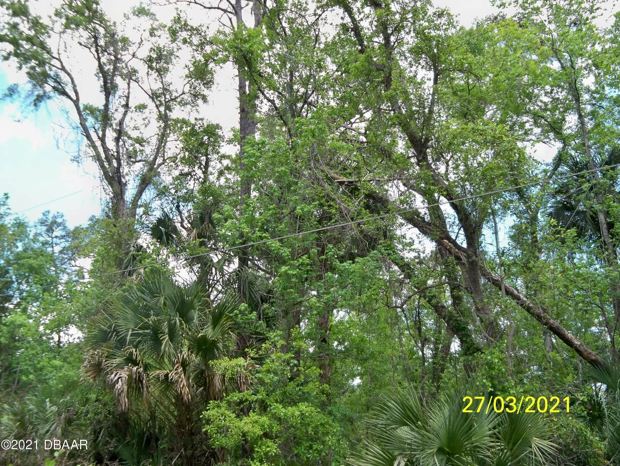 56044 Blue Creek Road - Photo 1