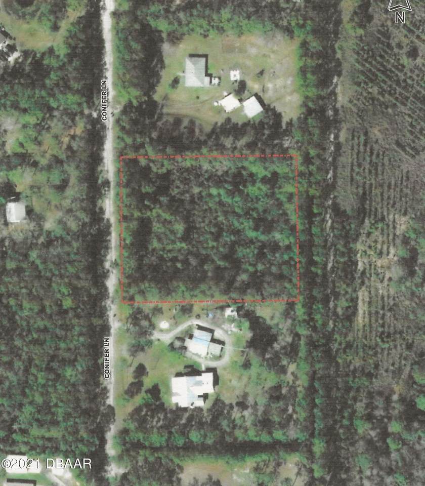 220 Conifer Lane - Photo 1