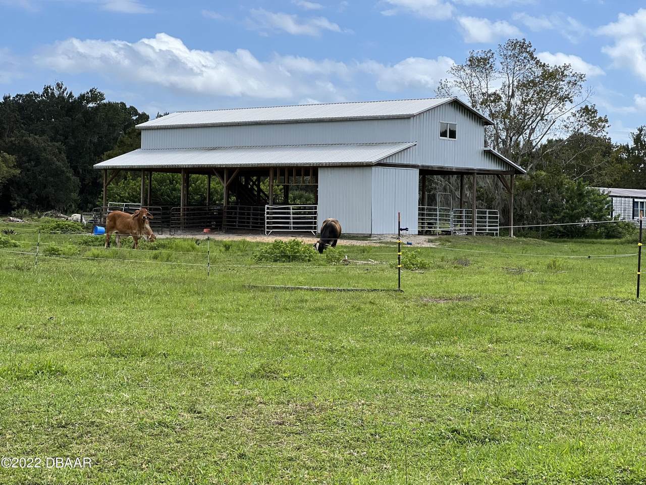 1135 Reed Grove Road - Photo 1