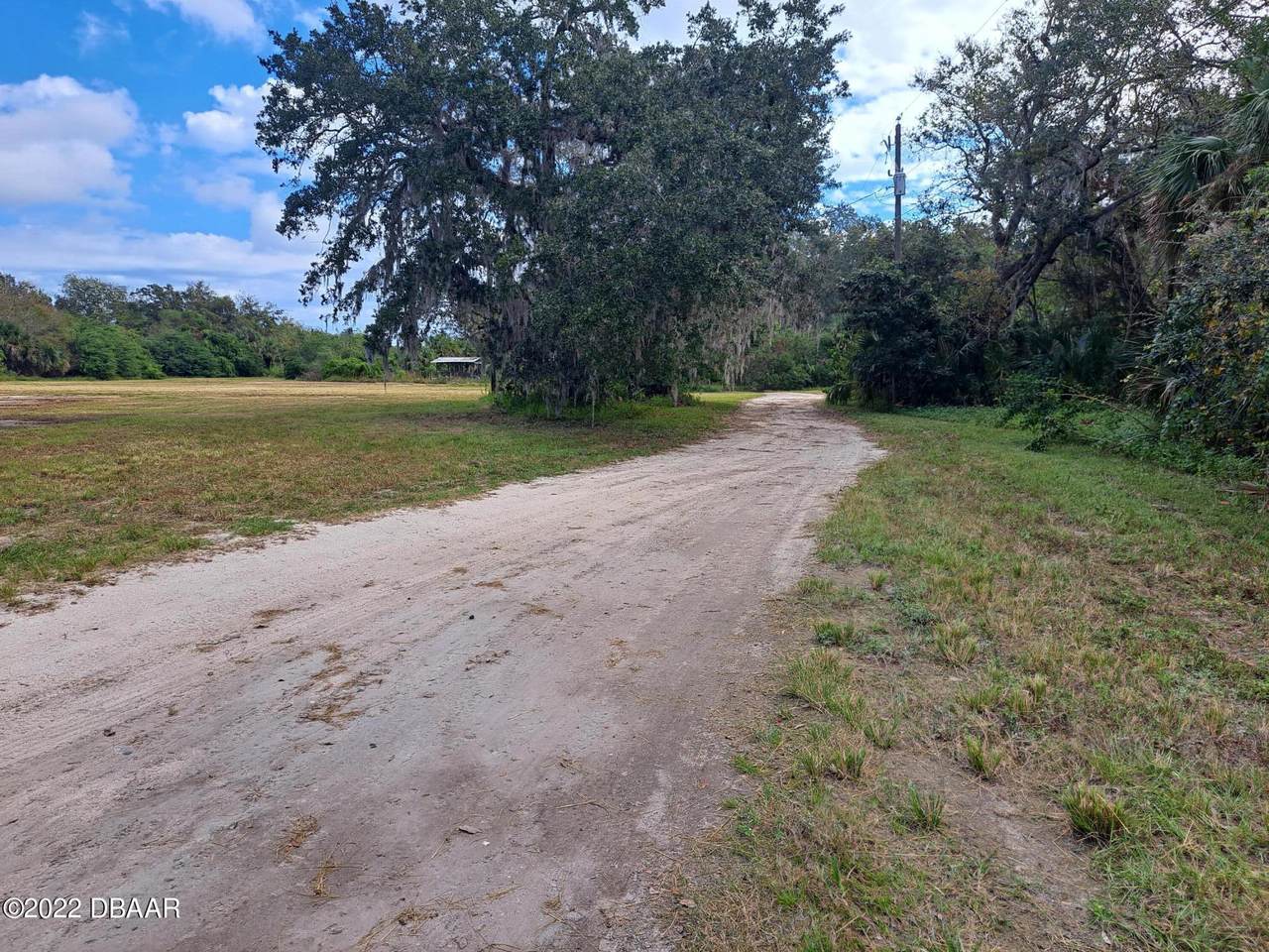 1413 Mango Tree Drive - Photo 1