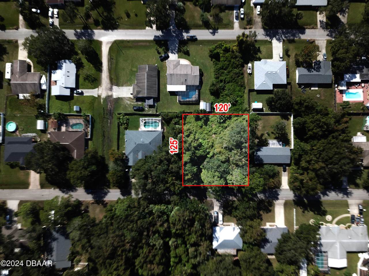 3224 Needle Palm Drive - Photo 1