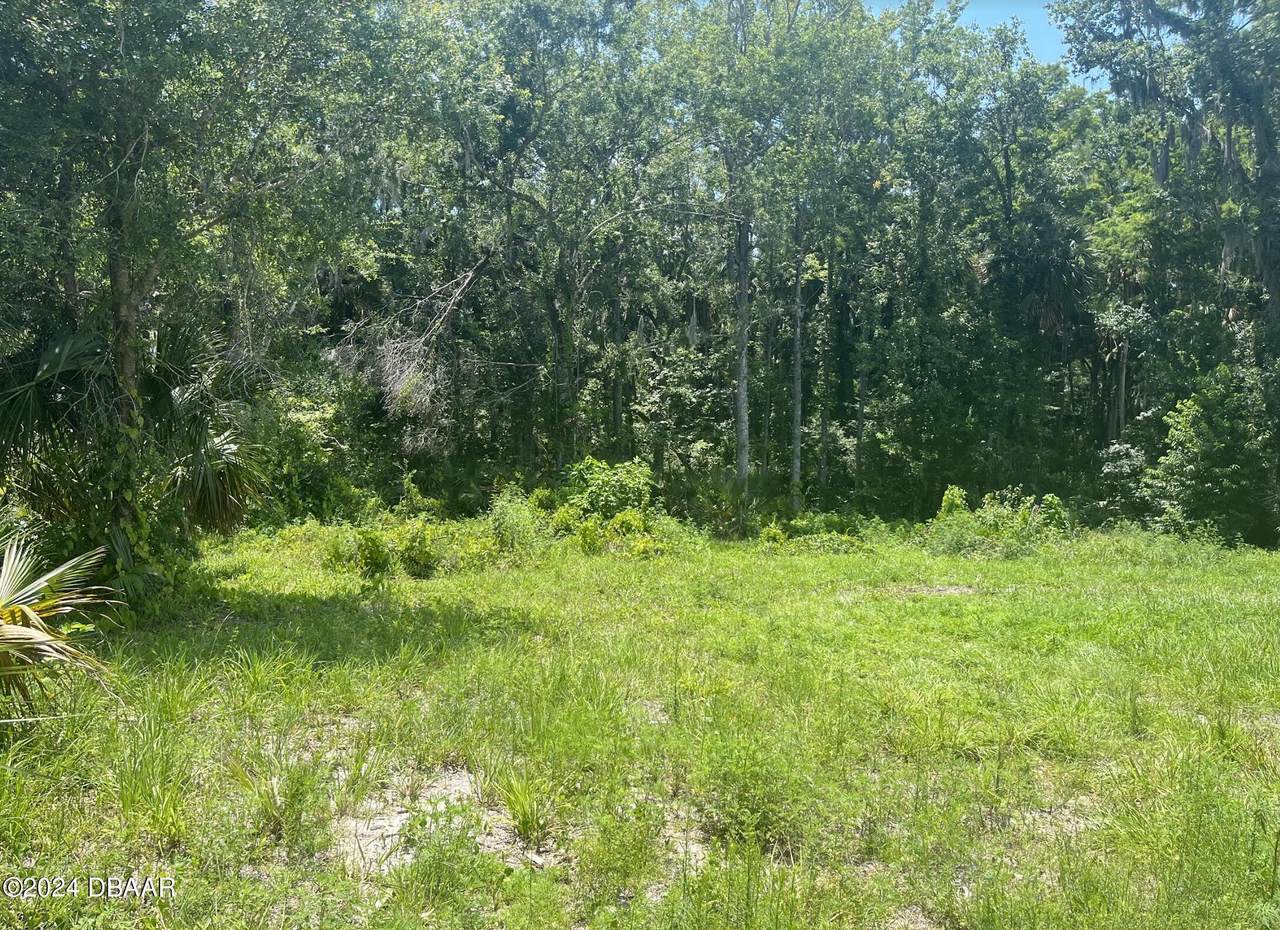 https://bt-photos.global.ssl.fastly.net/daytonabeach/1280_boomver_1_1206643-2.jpg