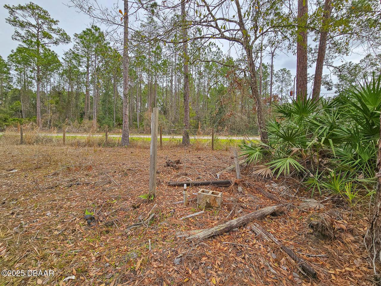 https://bt-photos.global.ssl.fastly.net/daytonabeach/1280_boomver_1_1209529-2.jpg