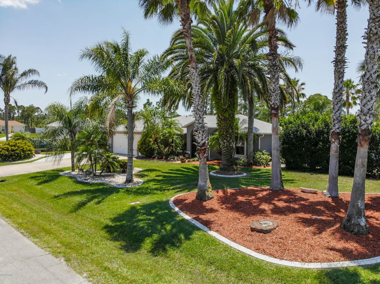 3330 Queen Palm Drive - Photo 1 3330 Queen Palm Drive - Photo 1