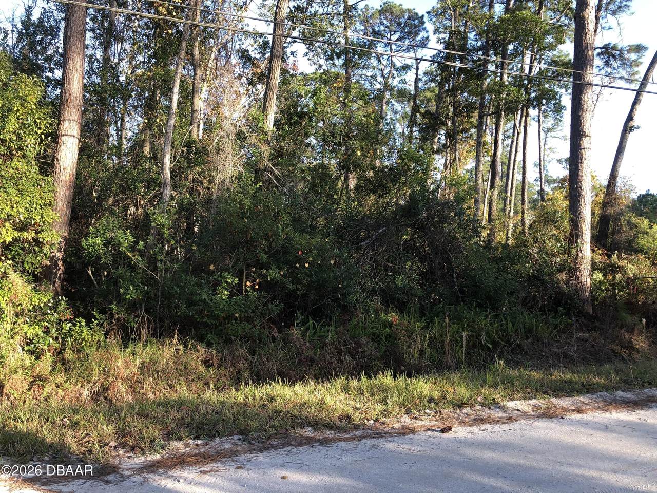 https://bt-photos.global.ssl.fastly.net/daytonabeach/1280_boomver_3_1221344-2.jpg