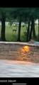 1925 Spruce Creek Circle - Photo 45