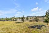 5256 Red Coral Circle - Photo 59