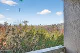 1401 Palmetto Avenue - Photo 17