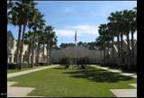 265 Clyde Morris Boulevard - Photo 4