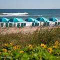 219 Ocean Hammock Loop - Photo 45