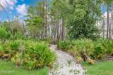 132 Gypsy Palace Lane - Photo 38
