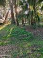 2214 Needle Palm Drive - Photo 8