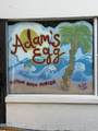935 Atlantic Avenue - Photo 24