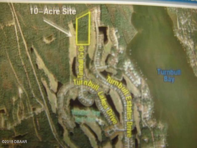 0 Turnbull Cove Drive - Photo 1