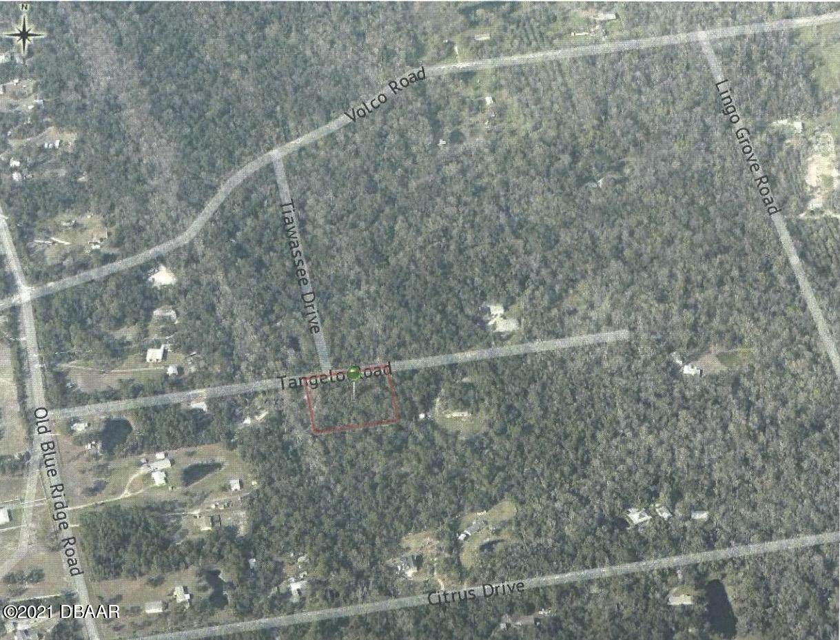 Lot 164 & Tangelo Road - Photo 1