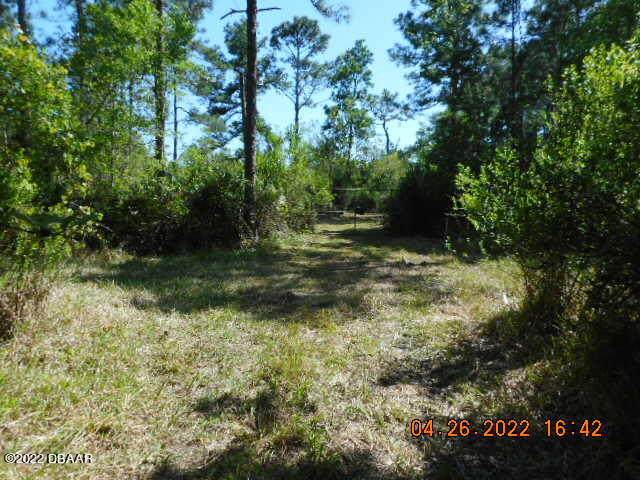 4630 Cedar Road - Photo 1