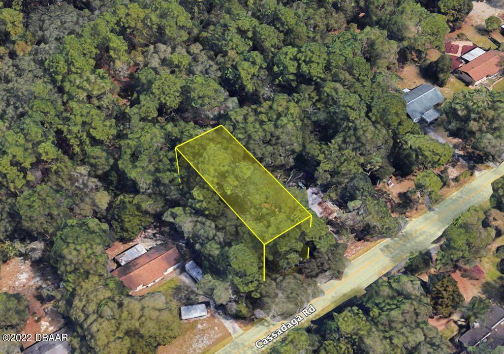 0 Cassadaga Road - Photo 1
