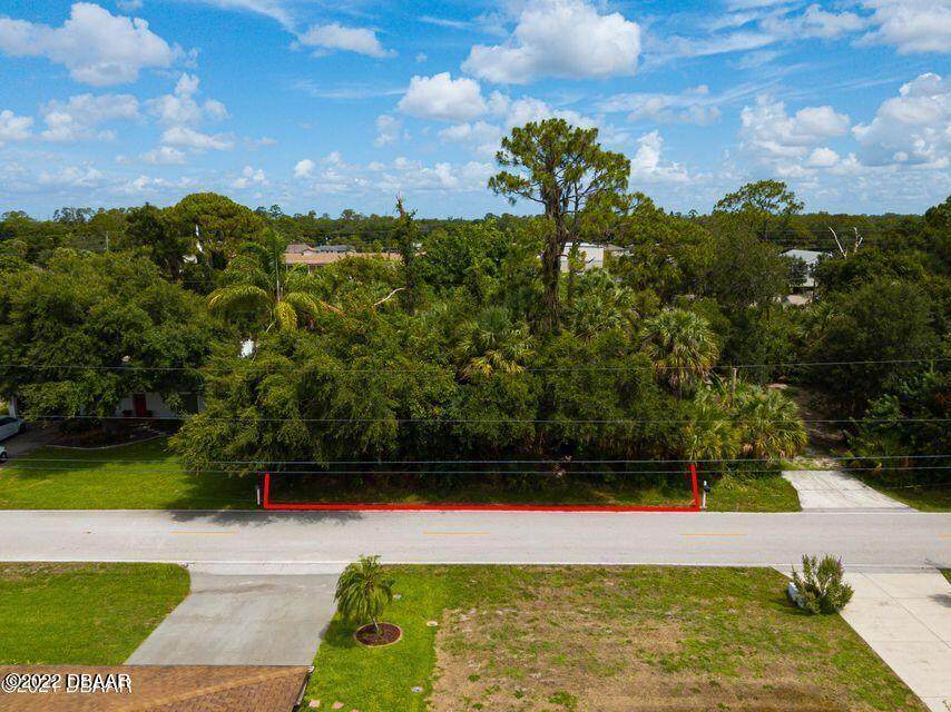 20462 Albury Drive - Photo 1