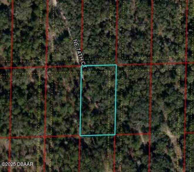 0 Bronson, Fl - Photo 1